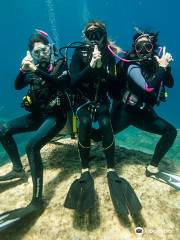 Dive & Dive Centro de Buceo