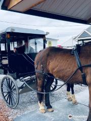 AAA Buggy Rides