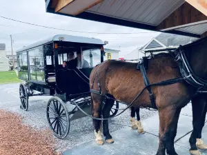 AAA Buggy Rides