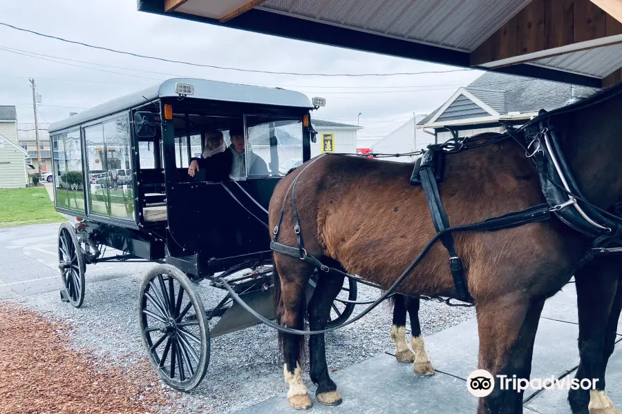 AAA Buggy Rides