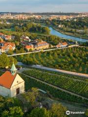 Botanischer Garten Prag