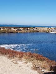 Kingscote Tidal Pool