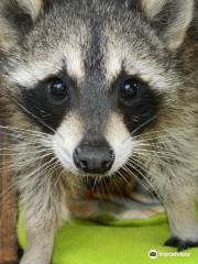 Peace River Wildlife Center