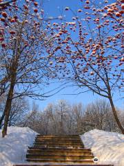 Culture and Recreation Garden of S. Yulaev