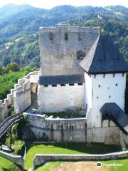 Castello alto di Celje