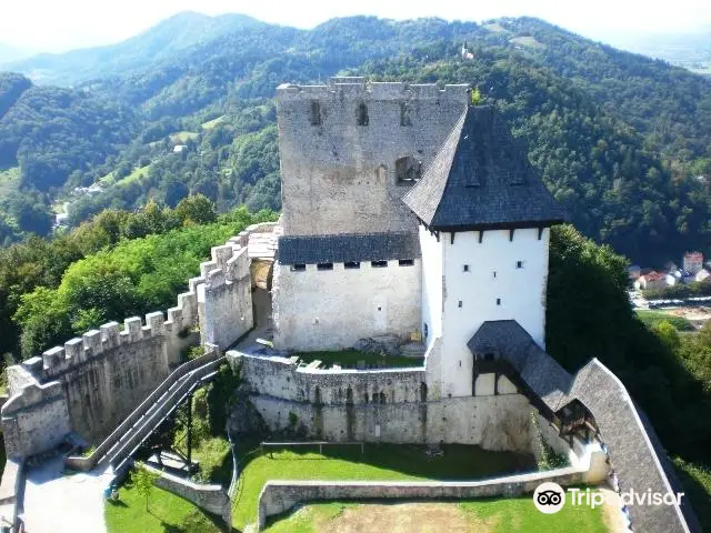 Celje Castle