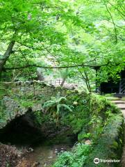 Shanklin Chine