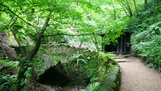 Shanklin Chine