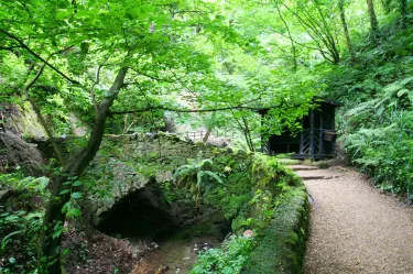 Shanklin Chine