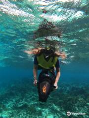Aruba Bob Snorkeling
