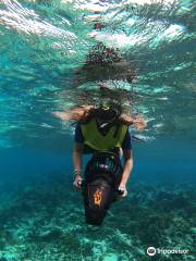 Aruba Bob Snorkel & Scuba