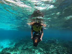 Aruba Bob Snorkel & Scuba