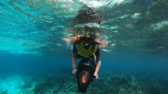 Aruba Bob Snorkel & Scuba