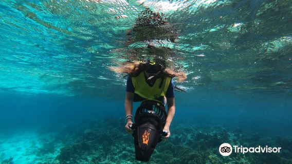 Aruba Bob Snorkel & Scuba