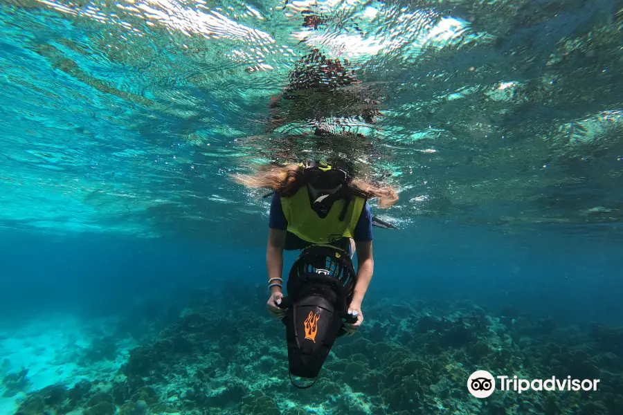 Aruba Bob Snorkeling