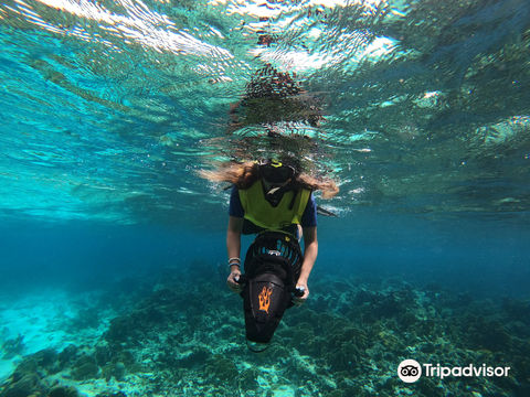 Aruba Bob Snorkel & Scuba