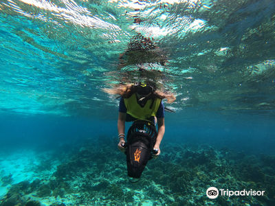 Aruba Bob Snorkel & Scuba