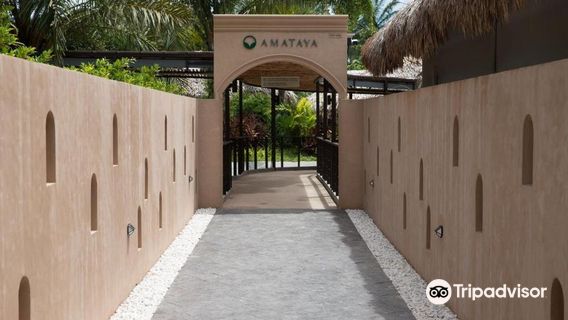 Saline Hot Spring Khlong Thom