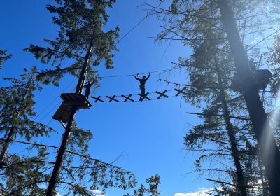 Go Ape Whinlatter （Segways, our new TTA/TTA+ course is coming soon）