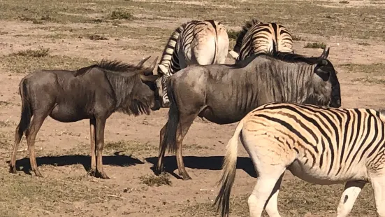 Buffelsfontein Game & Nature Reserve