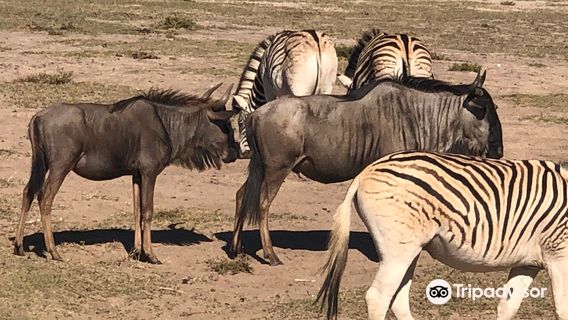 Buffelsfontein Game & Nature Reserve