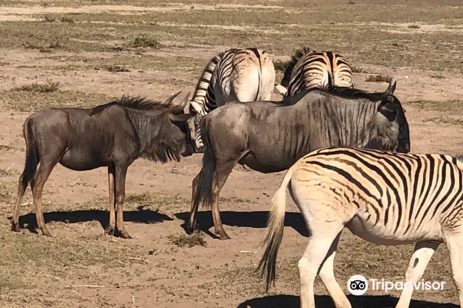 Buffelsfontein Game & Nature Reserve