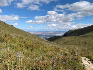 Bluff Knoll