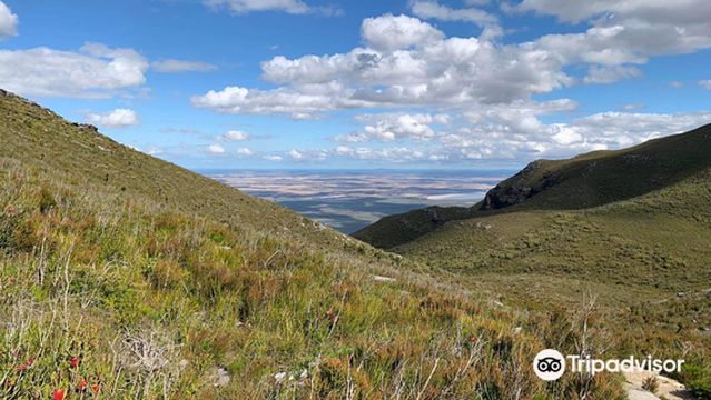 Bluff Knoll