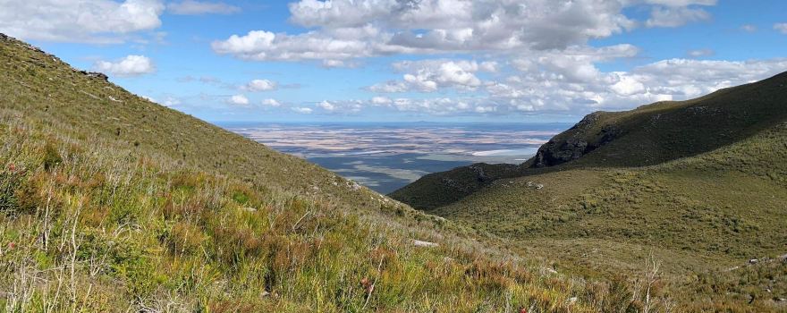 Bluff Knoll
