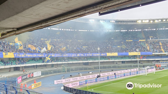 Stadio Marcantonio Bentegodi