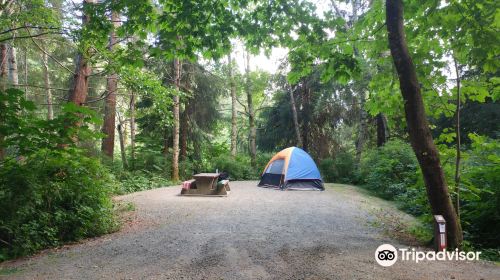 Elk Falls Provincial Park