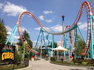 Carowinds