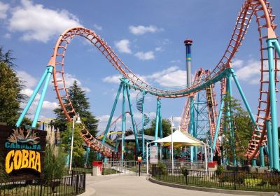 Carowinds