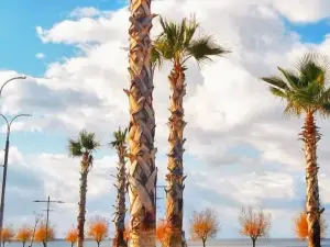 İnciraltı Kent Ormanı
