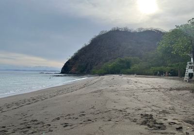 Playa Matapalo