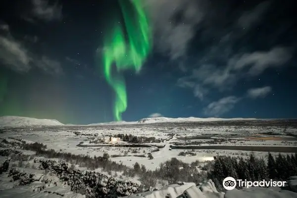 Reykjavik Aurora