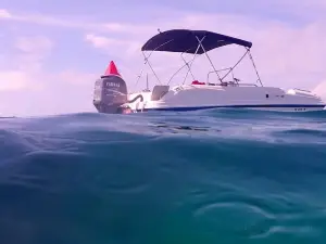 A1A Watersports & Boat Rentals