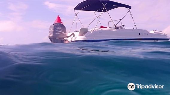 A1A Watersports & Boat Rentals