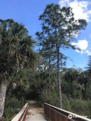 Florida Panther National Wildlife Refuge