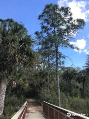 Refuge faunique national Florida Panther