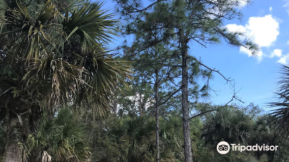 Florida Panther National Wildlife Refuge