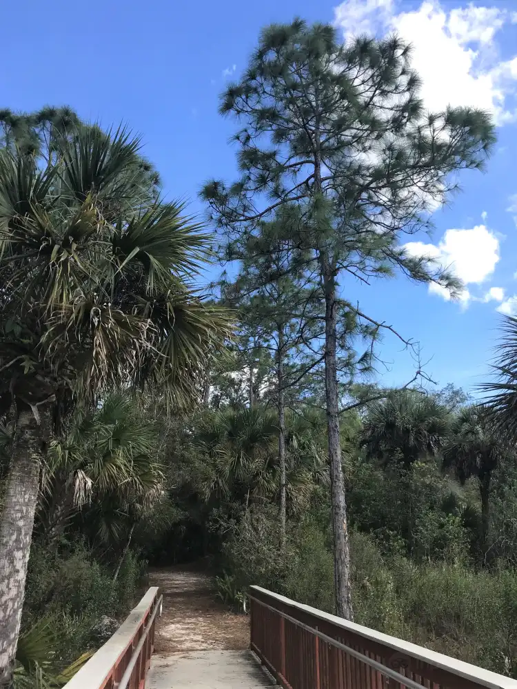 Hotels in der Nähe von Florida Panther National Wildlife Refuge
