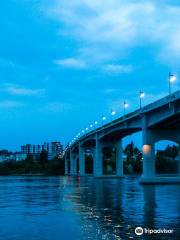 Manette Bridge