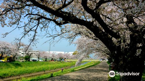 Sanagawa Embankment