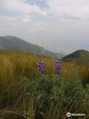 Pichincha