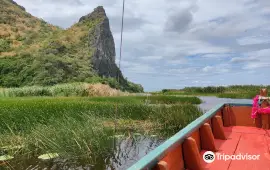 ศูนย์ศึกษาธรรมชาติ (บึงบัว) อุทยานแห่งชาติเขาสามร้อยยอด