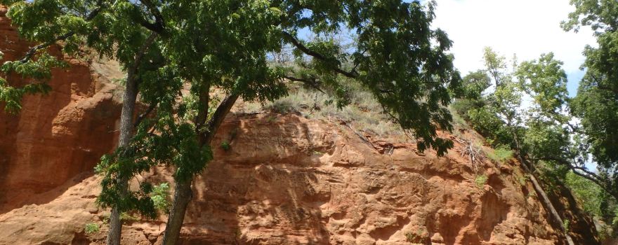 Red Rock Canyon Adventure Park
