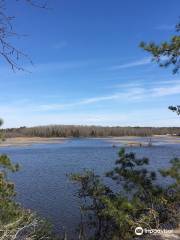 Maurice River Bluffs Preserve