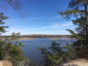 Maurice River Bluffs Preserve