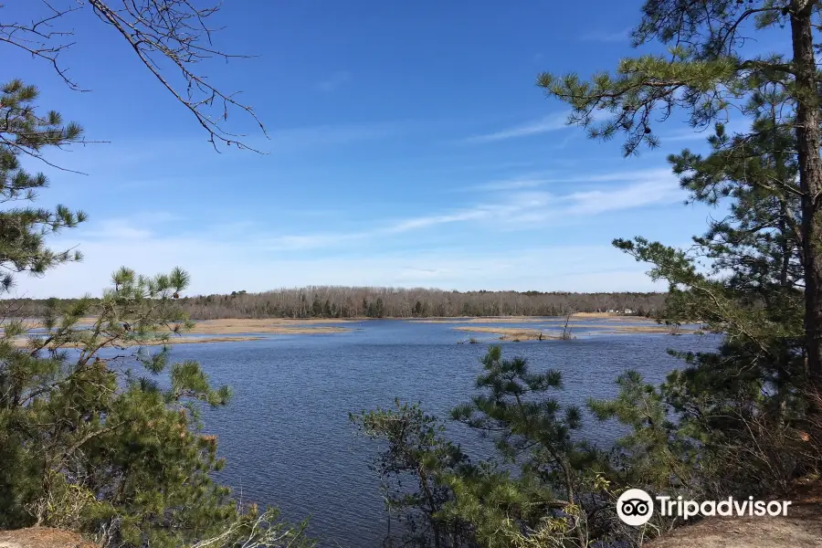 Maurice River Bluffs Preserve